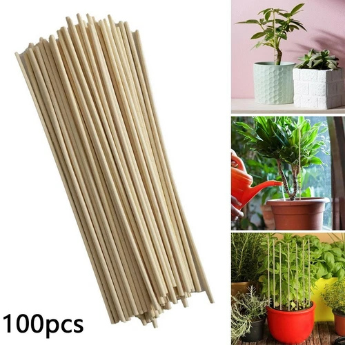 100 Tlg Bambus Holzpflanze Stöcke 20cm Gartenpflanzen Unterstützen Blumenstöcke - Bild 2 von 10