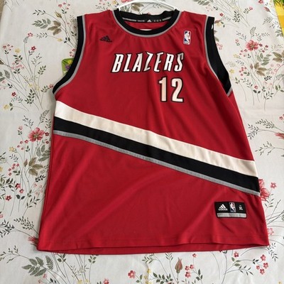 【】ポートランド・トレイルブレイザーズ #12 オルドリッジ M Adidas NBA Authentics Portland Trailblazers 12 LaMarcus Aldridge