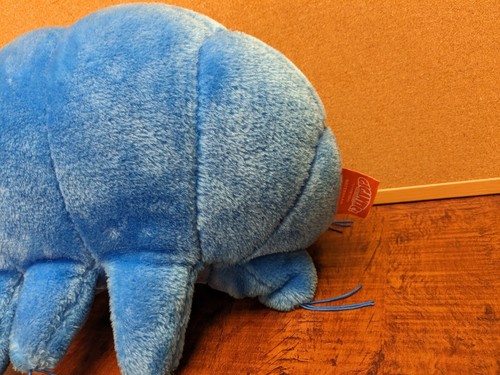 GIGANTIC MICROBES Giant Waterbear Stuffed Plush Drew Oliver Biology Science - Picture 4 of 17