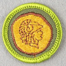 COIN COLLECTING 1961-1968 Type F Rolled Edge Khaki Twill Merit Badge