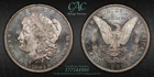 1883 O  CAC MS 61 PL Morgan Silver Dollar Superb Eye Appeal