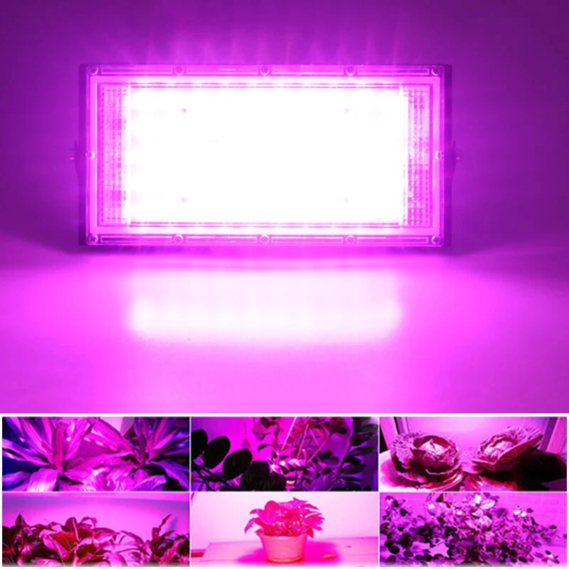 LED Pflanzenlampe Vollspektrum mit Schalter Wachstumslampe Blumen Grow Licht - Bild 3 von 4