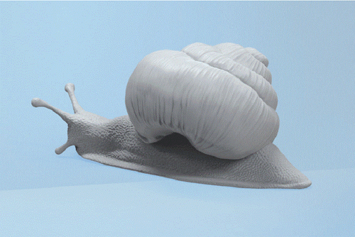 Giant Africa Snail 3D Unpainted Figure Model GK Blank Kit New Hot Toy In Stock - Picture 6 of 8