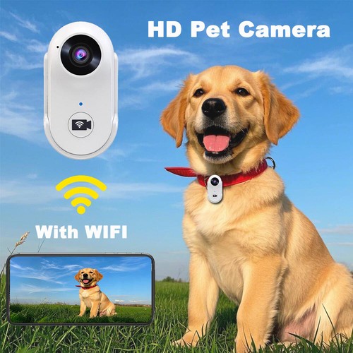 1080P FHD Mini Body Camera, Wearable POV Action Cam, Thumb-Size Hands-Free Cam - Picture 11 of 27