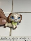 Hasbro Littlest Pet Shop Dachshund #1491 Figure 2006 — photo 3