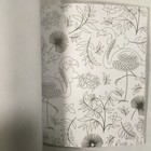 Picture 12 of 12