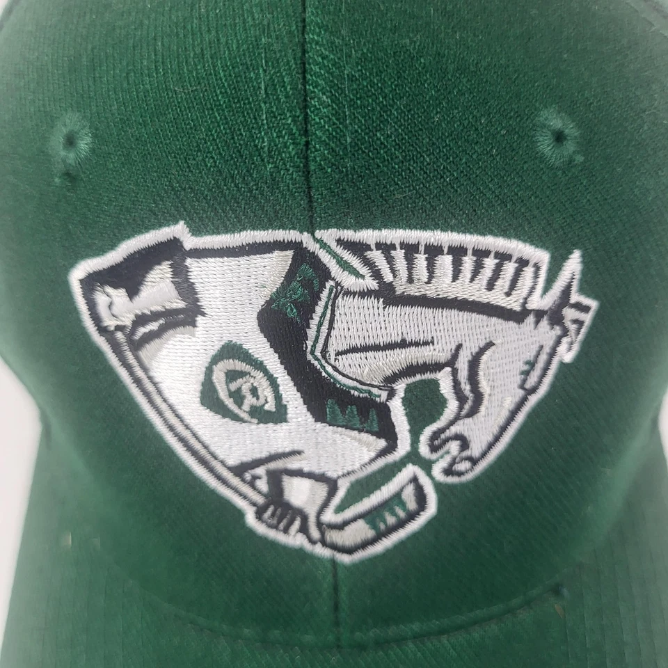 Cedar Rapids Roughriders Hat Iowa Hockey Cap Snap Back Green Embroidered Horse - Image 2 of 4