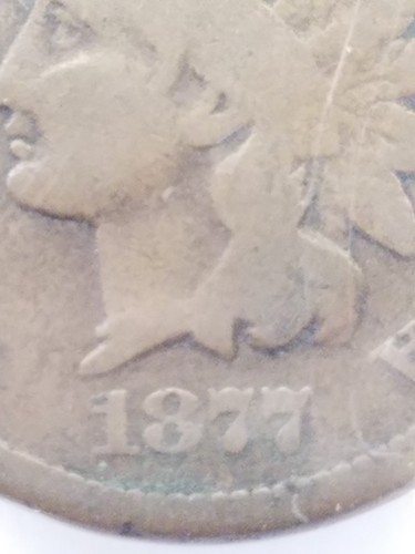 1877 Indian Head Cent PCGS G04 2127.04/36378195 Exquisite Coin Rare - Picture 7 of 11