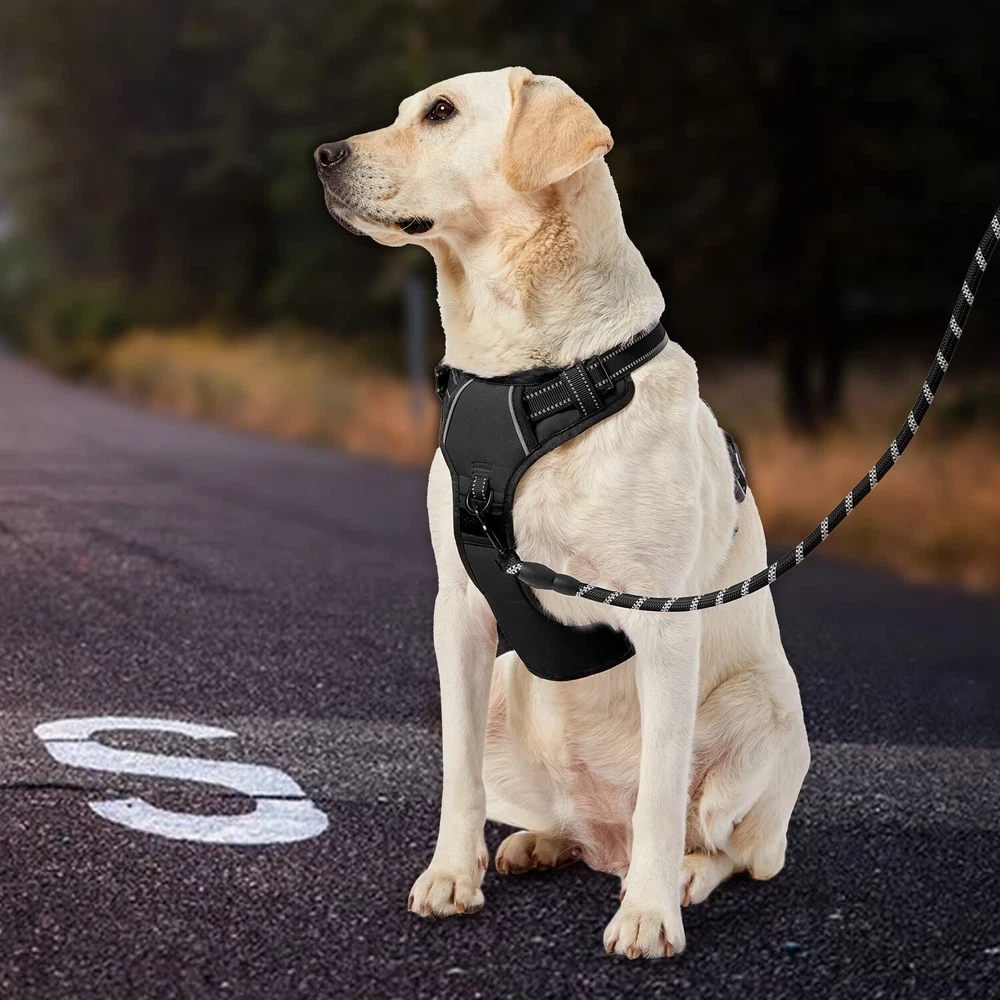 Dog Harness No-Pull Pet Harness Adjustable Outdoor Pet Vest reflection