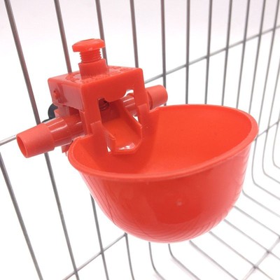 Chicken Drinking Cups Quail Water Bowls Bird Red Glass Animal Cage