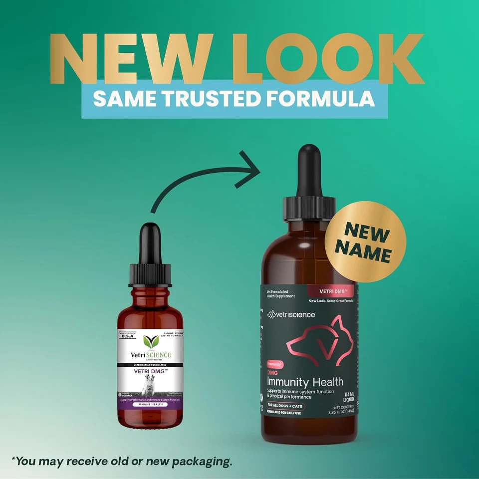 VETRISCIENCE DMG Immunity Health Easy-Dose Liquid, Vetri 114 ml, 3.85 fl oz  - Image 2 of 4