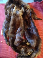 Mink Wrap. 6 Large.Excellent.Clean.Vintage.