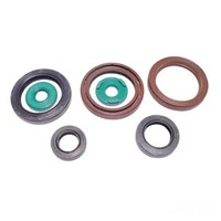 Dichsatz Motordichtringe Motor Dichtung FüR KTM EXC 450 Bj. 2009-2011