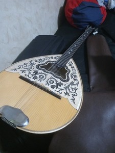 Greek Bouzouki 8-String And Soft Case
