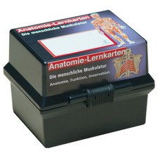Lernkärtchen, Lernkarten der Anatomie, Muskelsystem im Karteikasten, 300 Karten