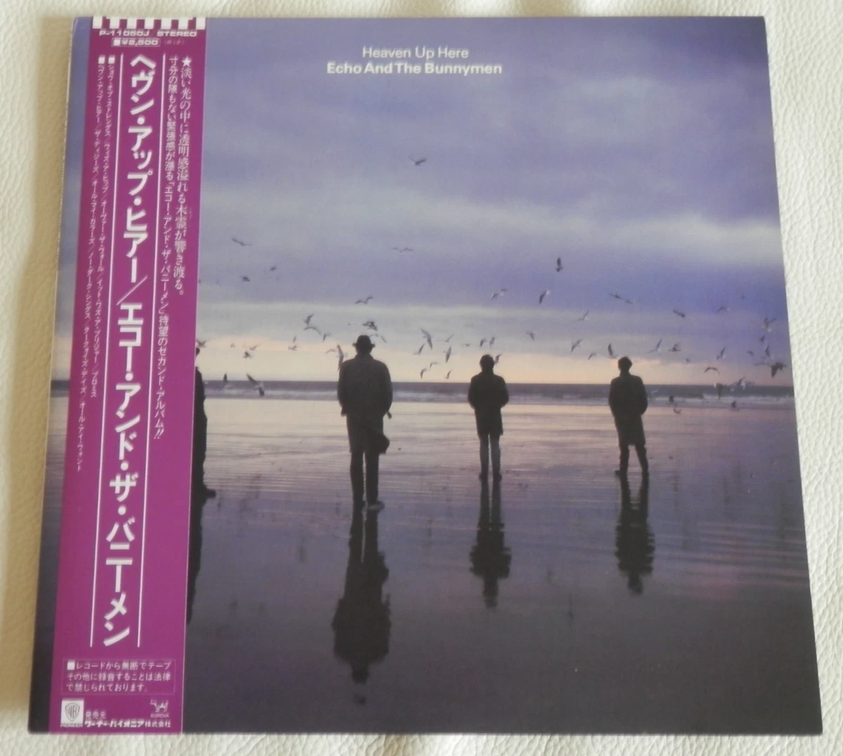 25+ Echo & the Bunnymen Vinyl Records for sale | Updated Oct 2026