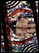 2022 Panini Revolution WWE Edge / Randy Orton SN149 #143 Fractal