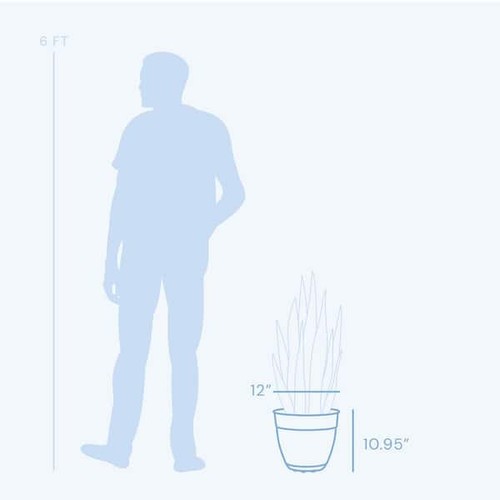 Dayton 12 in. Charcoal Plastic Round Indoor/Outdoor Planter with Saucer - Picture 5 of 5