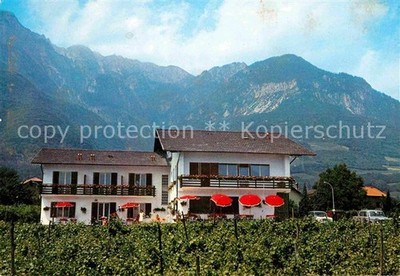 Tramin Wine Route Pension Garni Erika Alps
