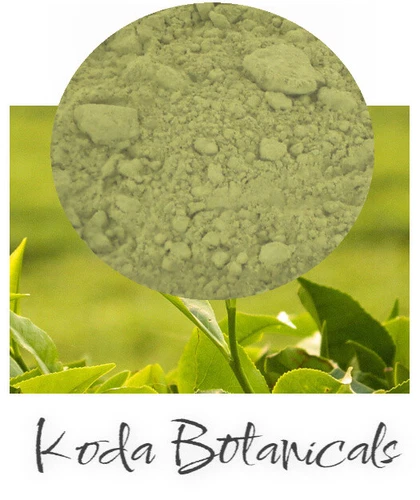 ORGANIC MATCHA Japanese Green Tea Powder PREMIUM CEREMONIAL GRADE TEA