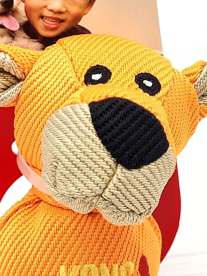 Juguete balístico Kong Wubba Friends pequeño león chirriante perro para buscar Foto 3 de 4