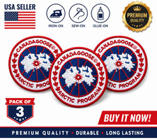 Arctic Program Style Patch 2.5 Embroidered Ir...
