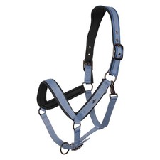 HV Polo Horse Essential Headcollar with Anatomical Design and Padding