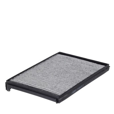 HENGST FILTER Innenraumfilter E4947LC Pollenfilter Aktivkohlefilter für XF DAF