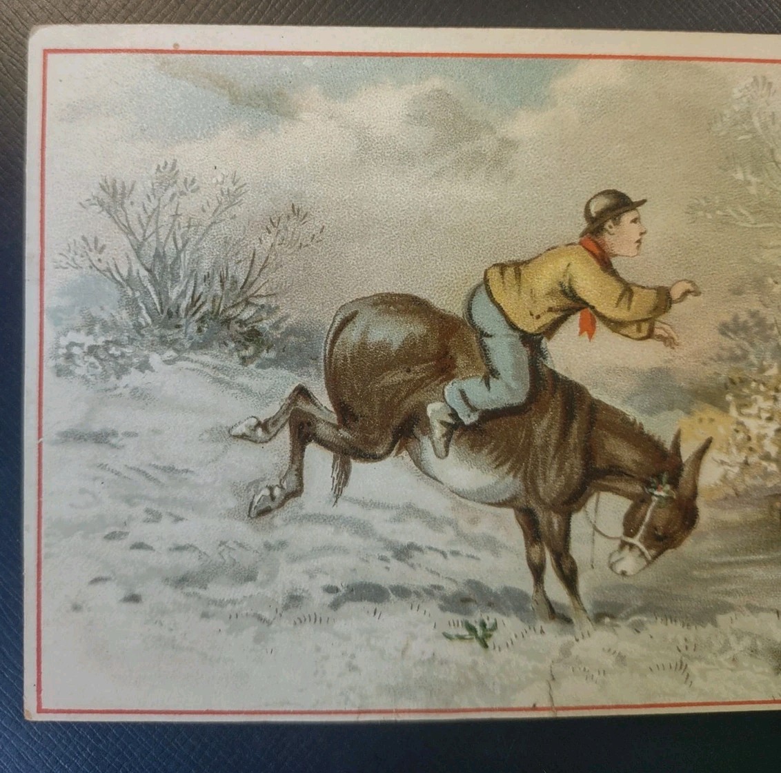 Arbuckles Ariosa Coffee Trade Card Donkey Series 4 Points Advertising ...