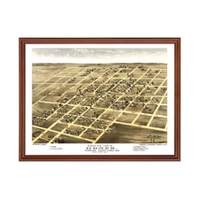 Old Map of Homer, IL 1869 - Vintage Homer Illinois Art