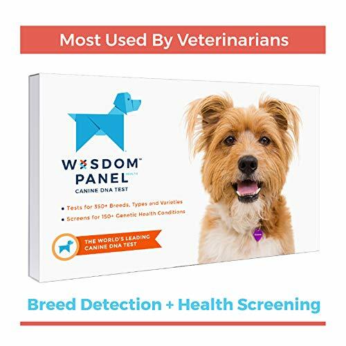 dog dna test ebay