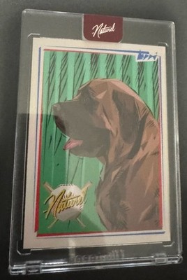 TOPPS PROJECT 2020 - Artist Naturel - The Sandlot Companion Card