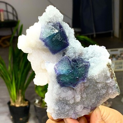 1.20LB Rare Transparent blue-green Cube Fluorite Mineral Crystal ...