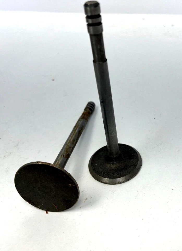 1942-1954 Chrysler DeSoto Royal Windsor conjunto de válvula de admissão de 6 cilindros NOS 870048. - Imagem 2 de 2