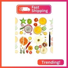 ZQmino Nature Dried Pressed Fruits Flowers for Resin Mold,Real Dried Flower Leav