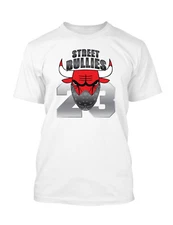 Bullies Graphic Sneaker Tee Shirt To Complement Jordan 14 Last Shot Shoe Hipster