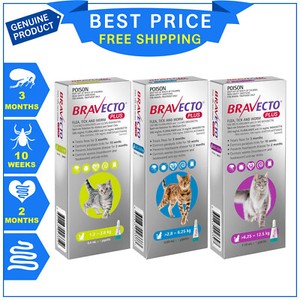 Picture of Bravecto Plus For Cats 3 Months flea tick heartworm worm treatment 1 ...