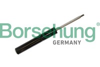 Borsehung StoßDäMpfer StossdäMpfer Vorne FüR Audi A6 Avant C8 4A5 4A2