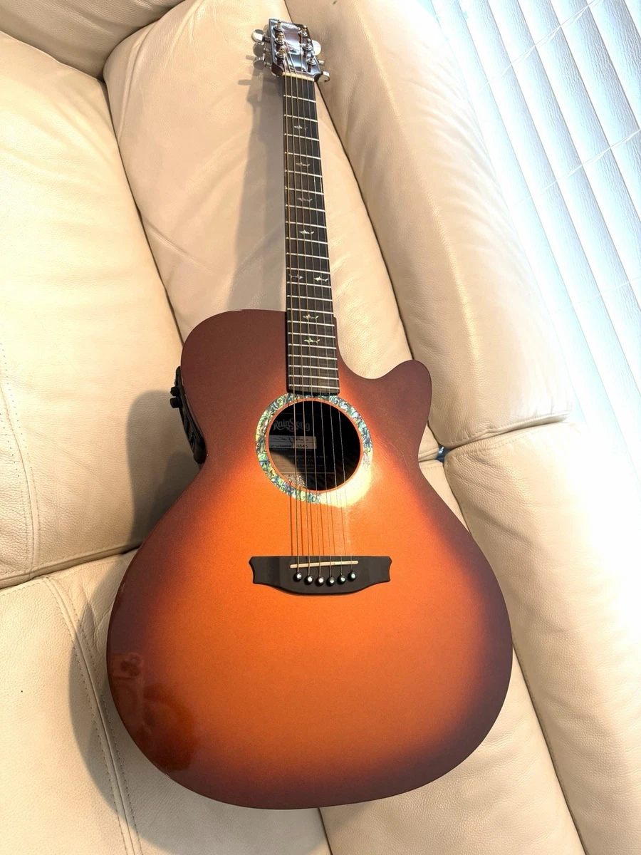 RainSong 6 String Acoustic Electric Guitars | eBay