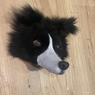 Foto 4 di 6