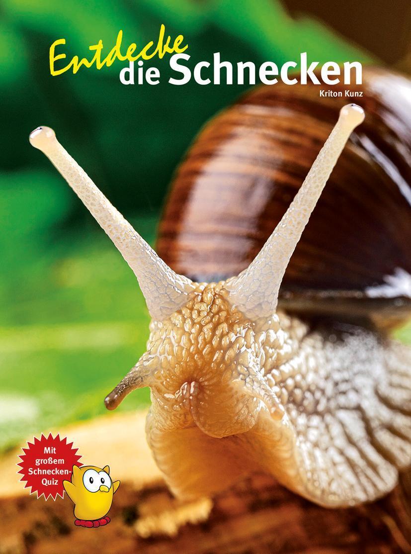 Thumbnail - Kriton Kunz | Entdecke Die Schnecken | Buch | Deutsch (2024) | 64 S.