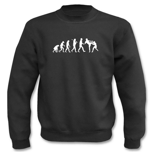 Pullover I Sweatshirt - Evolution Ultimate Fighting ufc Muay Thai hardcore - Picture 2 of 6