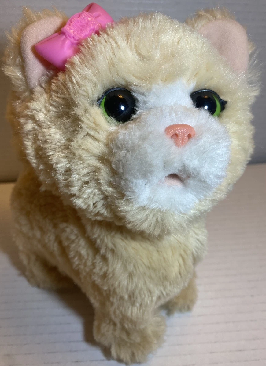 Hasbro cat toy top