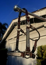 Circle Y ENGRAVED SILVER SHOW HALTER - STANDARD - Headstall Bridle Horse Tack