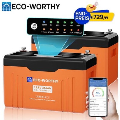 2 Pack 12V 314Ah Bluetooth LiFePO4 Lithium Batterie Statusanzeige für Wohnmobile
