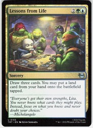 Lessons from Life 0155 Teenage Mutant Ninja Turtles MTG Uncommon