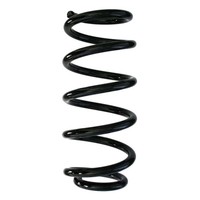 Fahrwerksfeder Hinterachse Schraubenfeder Ø113Mm Spidan FüR U.A. Mini
