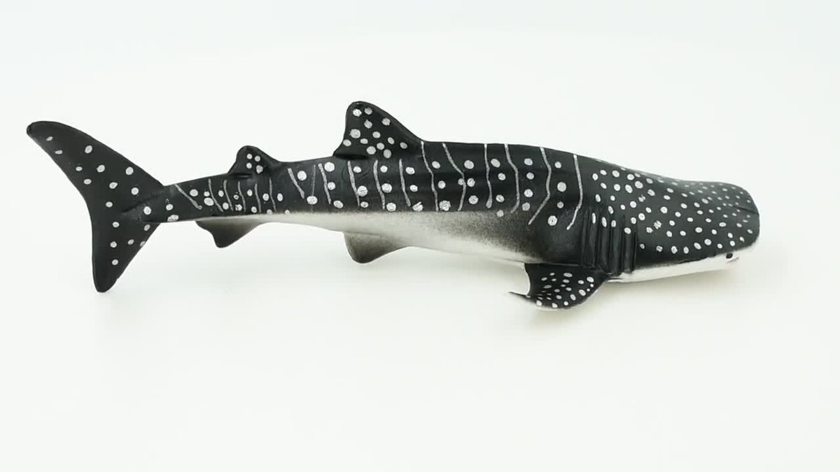 Whale Shark, Educational, Realistic Toy, Figurine, Replica, Gift