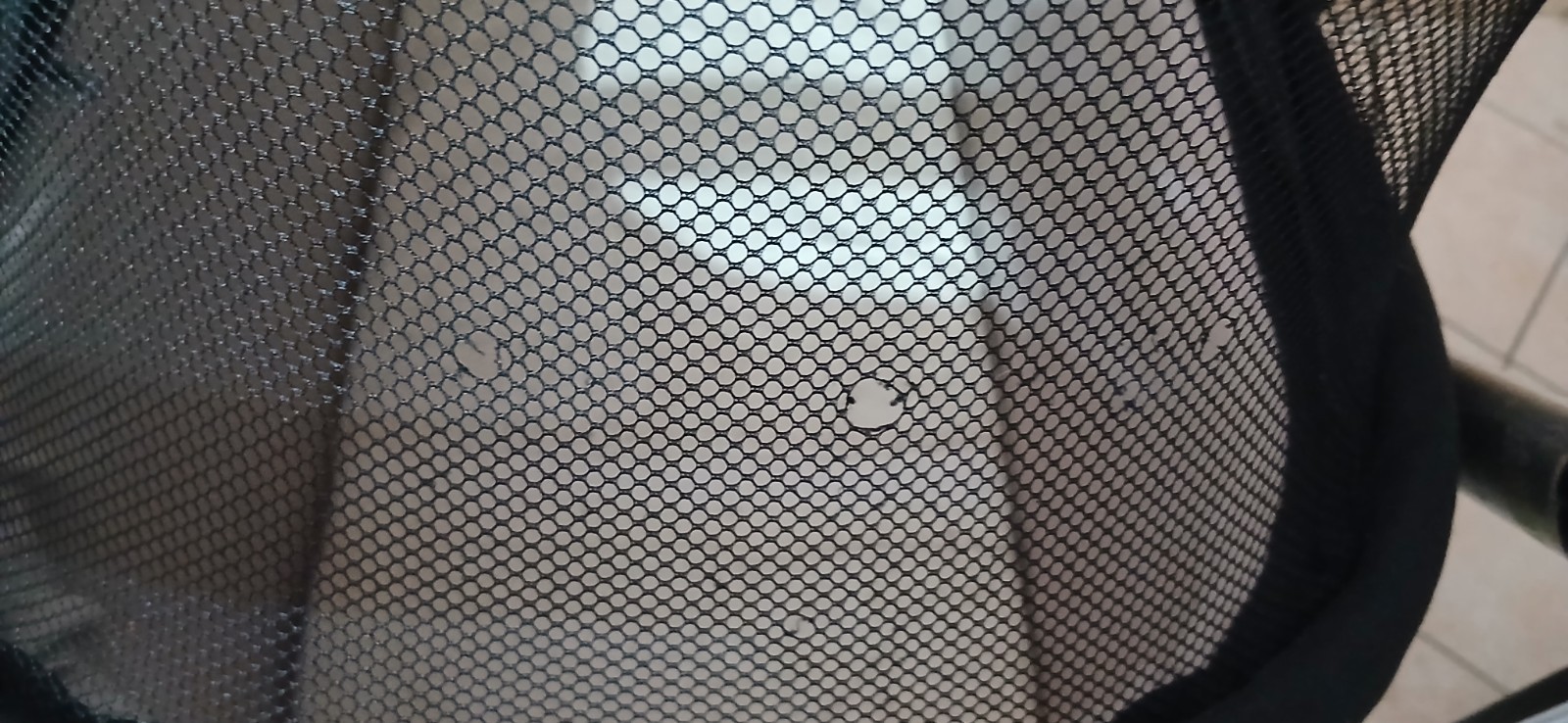 Passeggino per cani foto 3