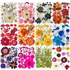 320PCS Dried Pressed Flowers Bulk for Resin, Real Natural Pressing Flowers wi...